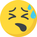 emoji,feelings,smileys,emoticons,nervous ok 