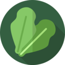 food,vegetable,vegan,healthy food,food and restaurant,organic,diet,vegetarian,lettuce