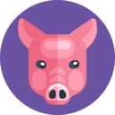 animals,animal,farm,pig,pork