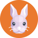 easter,rabbit,bunny,easter bunny,animals,pets