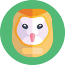 animals,bird,owl ok 