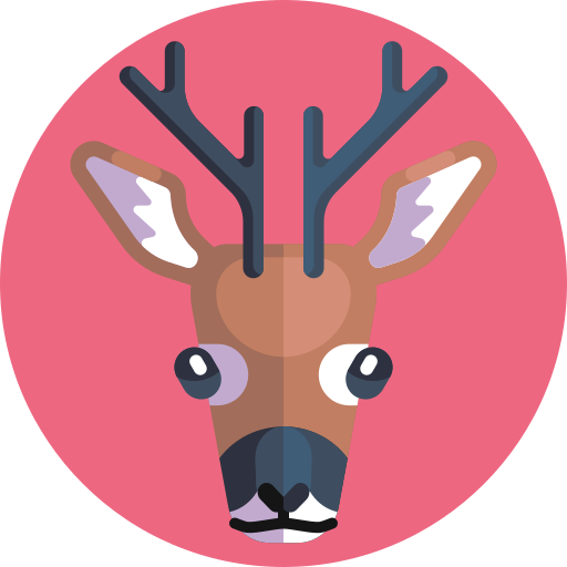Reindeer