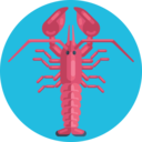 animals,lobster,sea animal ok 