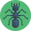 animals,animal,insect,ant ok 