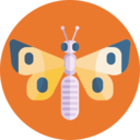 animals,insect,butterfly ok 