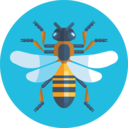 animals,bee,insect ok 