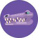 animals,reptile,crocodile,wild animals