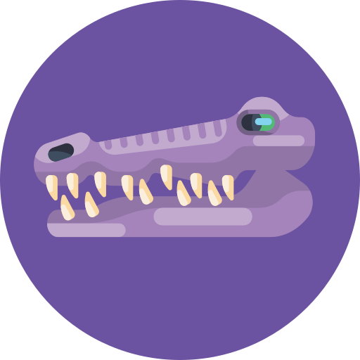 Crocodile