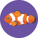 animals,fish,sea animal ok 