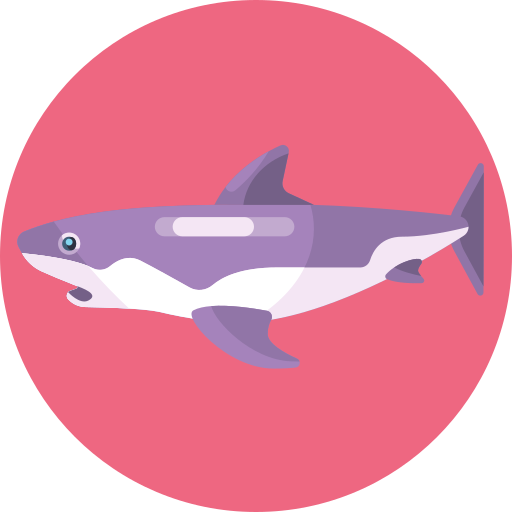 Shark
