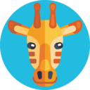 animals,mammal,giraffe,wild animals ok 