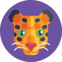 animals,feline,wild animals,jaguar ok 