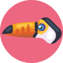 animals,bird,toucan,exotic animal ok 