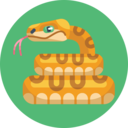 animals,snake,exotic animal ok 