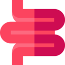 medical,healthcare and medical,body part,anatomy,colon