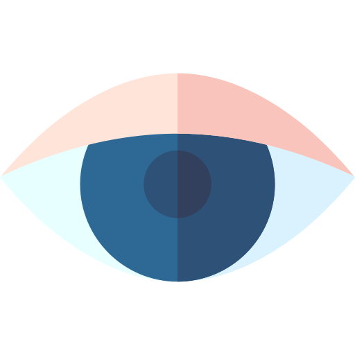 Eye