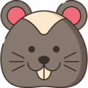 animals,wildlife,pet,animal kingdom,pet shop,hamster