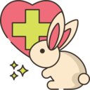 rabbit,bunny,animals,mammal,care,healthcare and medical,healthcare,wild life,animal kingdom,animal,veterinary,veterinarian,medical assistance