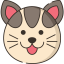 Favicon