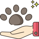 animals,pet,hand,friend,animal,hands and gestures,paw,owner,Adoption
