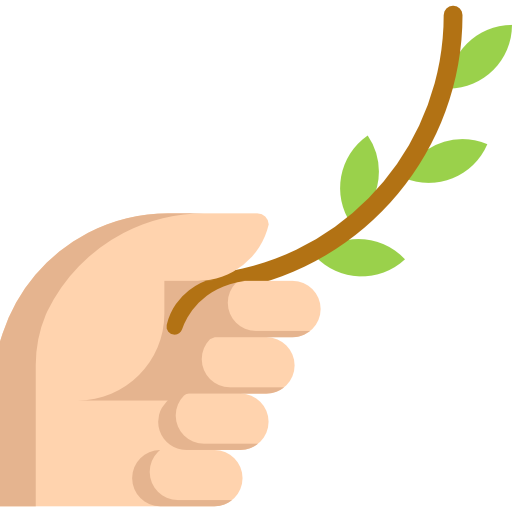 Branch