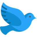 animals,peace,bird,pigeon,dove