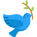 animals,peace,bird,pigeon,dove