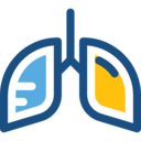 medical,healthcare and medical,organ,anatomy,breath,lungs,lung