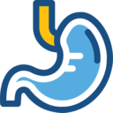 medical,healthcare and medical,body parts,organ,anatomy,stomach