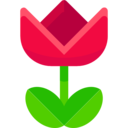 ui,electronics,multimedia,multimedia option,flower,macro ok 