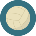 sports and competition,sports,sport team,equipment,team,volleyball