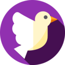 animals,peace,bird,animal,wedding,pigeon,dove,fly,wings
