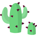 dry,nature,plant,botanical,dessert,cactus