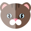 Cat Collection icon 64x64