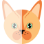 Cat Collection icon 64x64