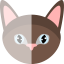 Cat Collection icon 64x64
