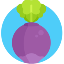 food,vegetable,vegan,healthy food,food and restaurant,organic,diet,vegetarian,radish