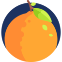 food,vegan,healthy food,food and restaurant,organic,diet,vegetarian,fruit,orange
