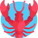food,animals,food and restaurant,sea life,animal,lobster ok 