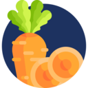 food,carrot,vegetable,vegan,healthy food,food and restaurant,organic,diet,vegetarian ok 