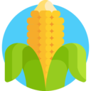 food,vegan,healthy food,food and restaurant,organic,diet,vegetarian,cereal,corn ok 