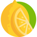 food,food and restaurant,vegetarian,lemon,citrus,fruit ok 