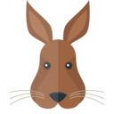 rabbit,animals,wildlife,animal kingdom,zoo
