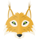 animals,wildlife,animal kingdom,zoo,coyote ok 