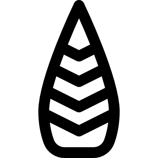 Cedar