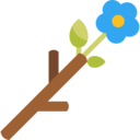 cultures,nature,stick,gardening,garden,flower,flowers