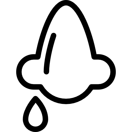 Nose