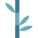 japan,nature,plant,botanical,bamboo