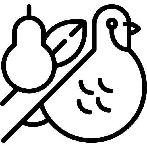 Partridge
