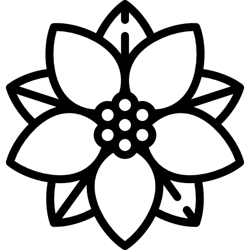 Poinsenttia